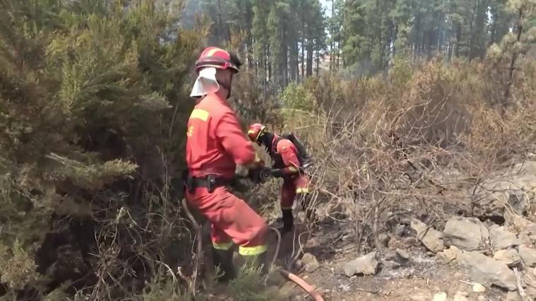 El Gobierno canario prevé dar por estabilizado el incendio de Tenerife este jueves
