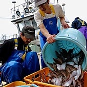 China prohíbe importar pescado japonés el primer día de vertido de agua tratada de Fukushima