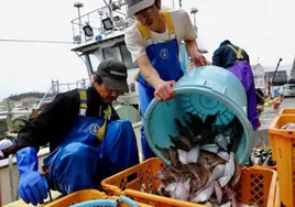 China prohíbe importar pescado japonés el primer día de vertido de agua tratada de Fukushima