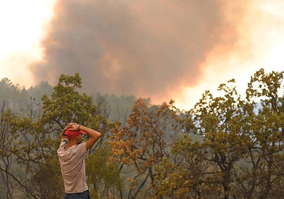 Un civil observa un incendio forestal en una zona entre las aldeas de Sapes y Sicorrachi, cerca de Alejandrópolis (Grecia)