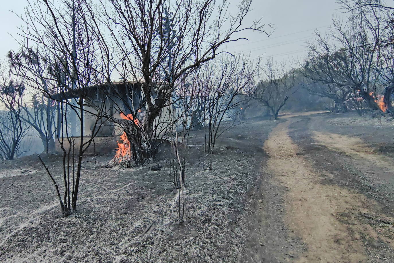 Una casa quemada en la aldea de Akova cerca de Argos (Grecia)