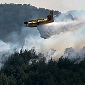 Grecia se enfrenta al mayor incendio de la UE desde que hay registros y el más mortífero del año