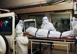 Alerta en la India por el nipah: un virus con un 75% de mortalidad que deja dos muertos y varios hospitalizados