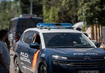 Desmantelan una organización criminal que traficaba con animales de compañía