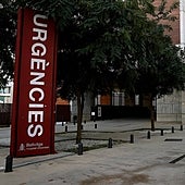 Ingresada una mujer de 76 años en Barcelona por un caso probable del virus del Nilo