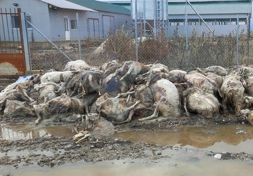 Las inundaciones en Grecia provocan una crisis sanitaria sin precedentes