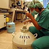 Los jóvenes británicos concebidos con donantes de esperma u óvulos podrán conocer su identidad a los 18 años