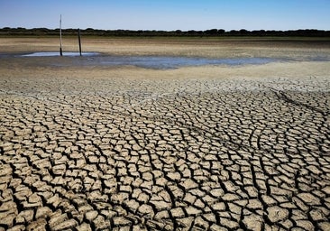 Un estudio confirma que el verano de 2022 fue el más caluroso en España de los últimos 700 años