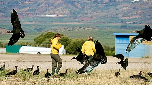 Helena y Bárbara con sus ibis eremitas