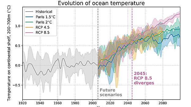 La aceleración del deshielo en la Antártida occidental es «inevitable»