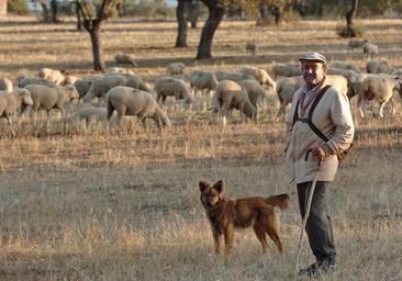 Consejos para evitar ataques de perros: «Nunca toques a un animal, ni en el campo ni en la ciudad»