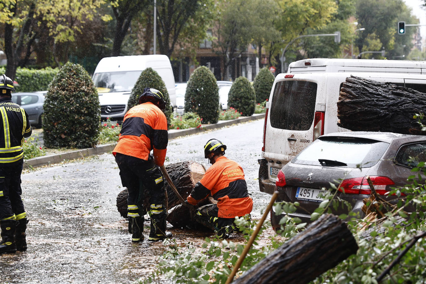 Bomberos trabajan para recoger los árboles caídos por el viento