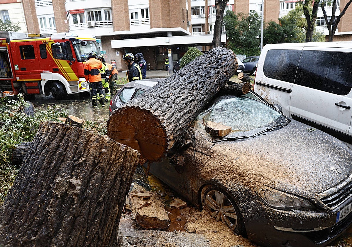 Efectos en Madrid del fuerte viento provocado por Ciarán