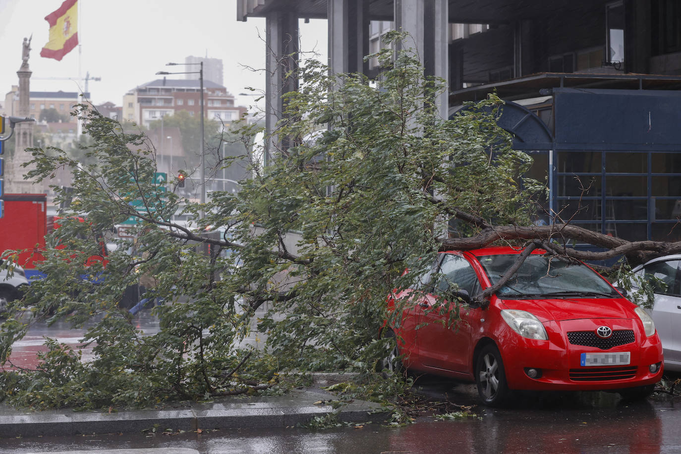 Un árbol caído sobre varios coches cerca de la Plaza de Colón de Madrid este jueves por el paso de Ciarán