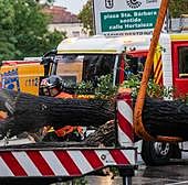 La AEMET avisa de la llegada inminente la borrasca 'Domingos' que tendrá un gran impacto en España: estas son las zonas más afectadas