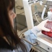 El 63% de los consumidores probaría la carne artificial cultivada