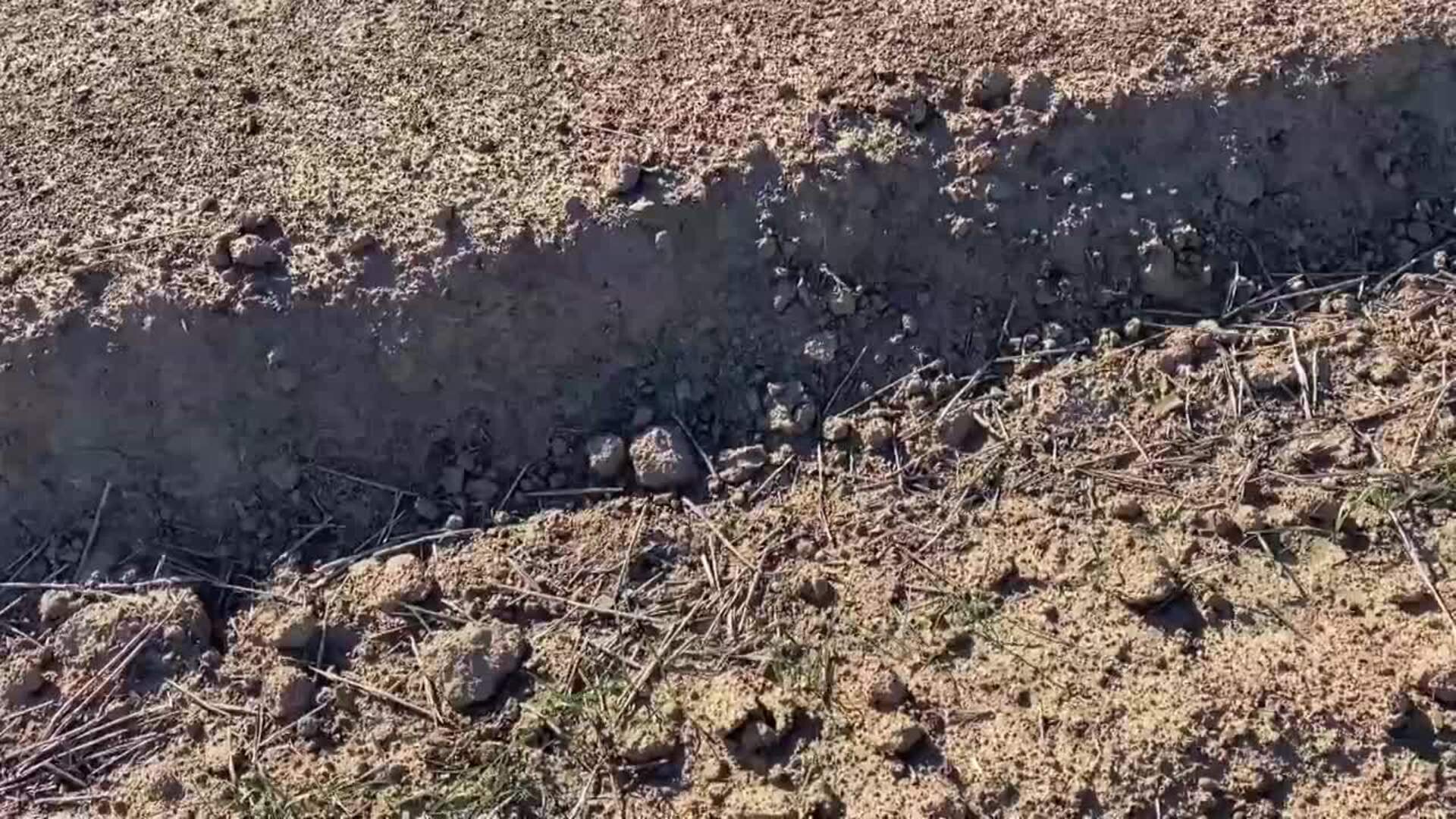 La sequía se queda por sexto año en Marruecos y pasa factura al campo y al agua potable