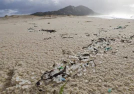 Una marea de plástico inunda la costa desde Galicia hasta Cantabria