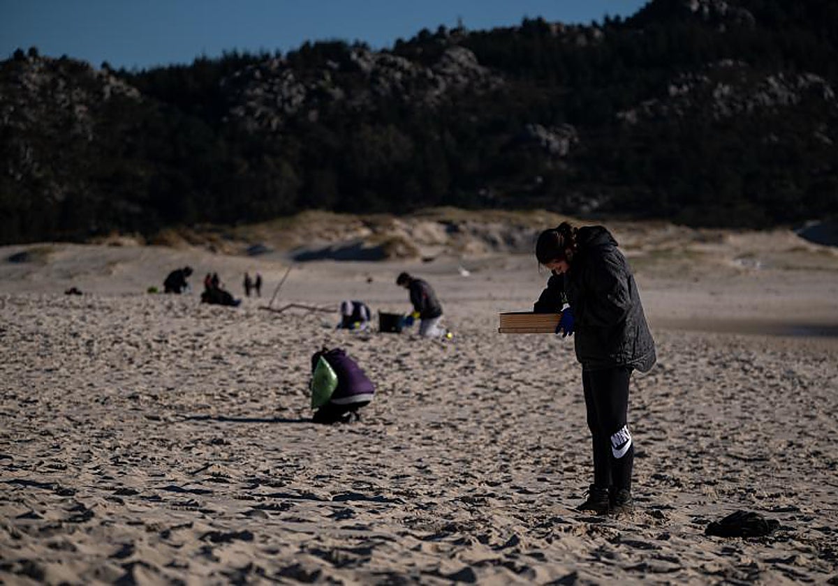 La Fiscalía de Medio Ambiente abre diligencias por el vertido de &#039;pellets&#039; de plástico en el norte de España