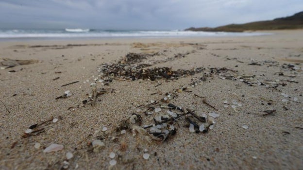 Voluntarios, asociaciones de ecologistas y los propios municipios afectados llevan días organizándose para limpiar las playas gallegas