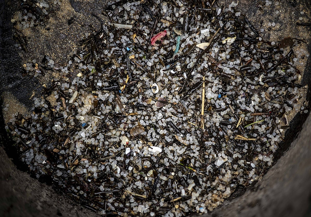 Detalle de los 'pellets' de plástico recogidos por los operarios en Galicia