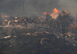 En imágenes: el incendio que está devastando Chile ya ha dejado más de 50 muertos