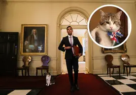 Larry, el gato 'oficial' que evita que Downing Street esté infestado de ratones