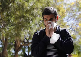 Los alérgicos al polen se enfrentarán a una primavera intensa con fuertes síntomas por las altas temperaturas