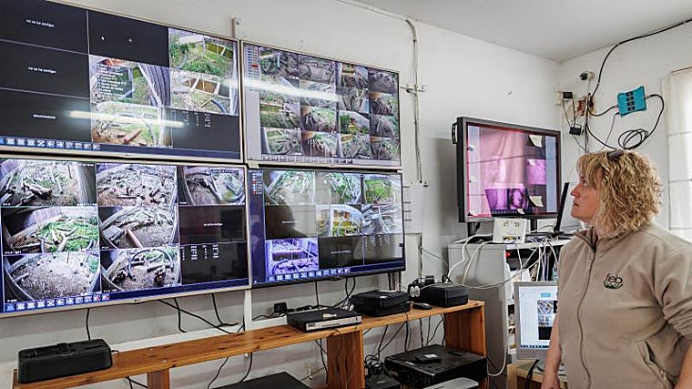 Punto de vigilancia de los visones europeos en las instalaciones de FIEB