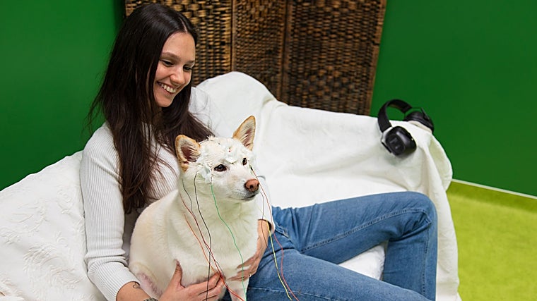 Otro de los 18 perros que ha participado en el experimento de la Universidad húngara