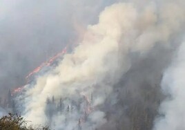 Hasta trece incendios forestales activos en Cantabria que obligaron a cerrar la red ferroviaria en Casar de Periedo