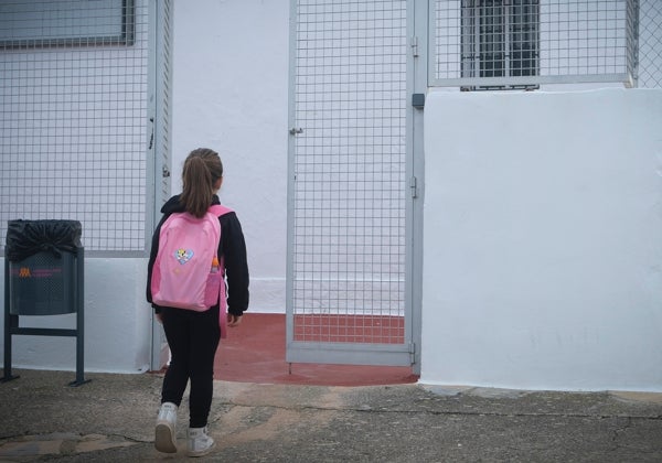 Profesionales alarmados por las agresiones sexuales: «Estamos viéndolas en niños de Primaria, de 7 y 8 años, con niñas de 4 y 5»