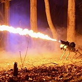 El perro robot que lanza llamaradas a distancia y cuesta 9.000 dólares