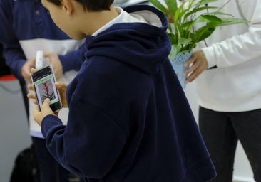 Más de la mitad de las familias de Cataluña no quieren que sus hijos tengan un móvil en Primaria