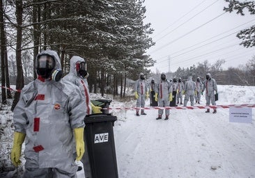 ¿Será la gripe aviar la próxima pandemia?, esto es lo que opinan los expertos