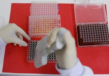 Crece la preocupación por la rápida evolución de la gripe aviar y el temor a una nueva pandemia