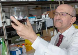 El profesor Miguel Ángel Martínez posa en su laboratorio de la Universidad de Navarra con una copa de vino