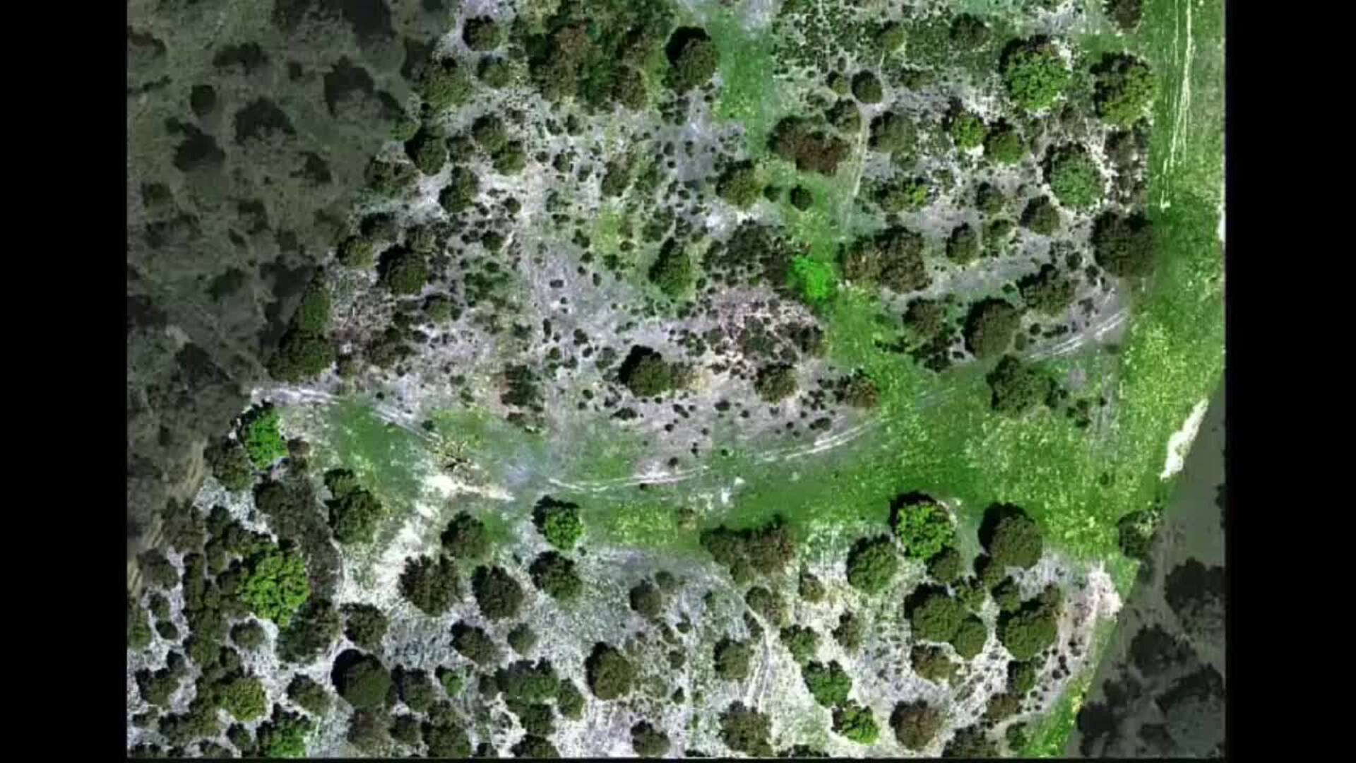 Drones, sensores y satélites, una nueva era de lucha contra los incendios forestales