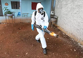 Récord histórico: Brasil supera los cinco millones de casos de dengue