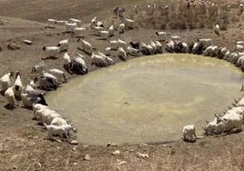 Emergencia por la sequía en el sur de Italia, mientras el norte sufre granizadas