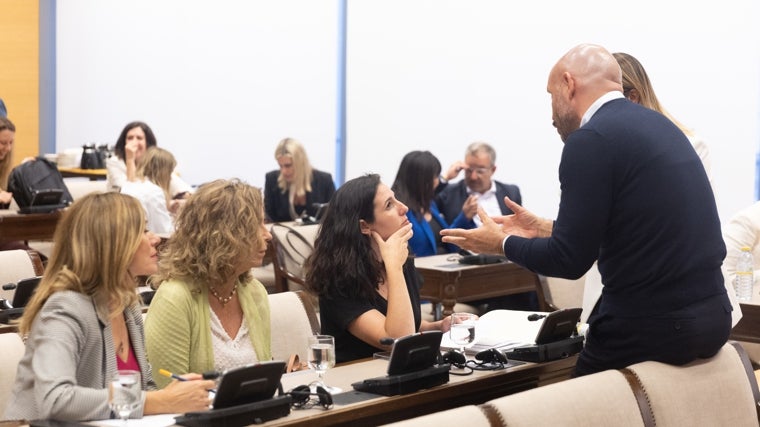 Las diputadas de Vox, Reyes Romero, Rocío Aguirre y Rocío de Meer, y el diputado del PP, Jaime de los Santos, durante la Comisión de Igualdad