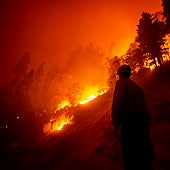 Trece detenciones en la isla de Hidra e incendios forestales fuera de control en Grecia
