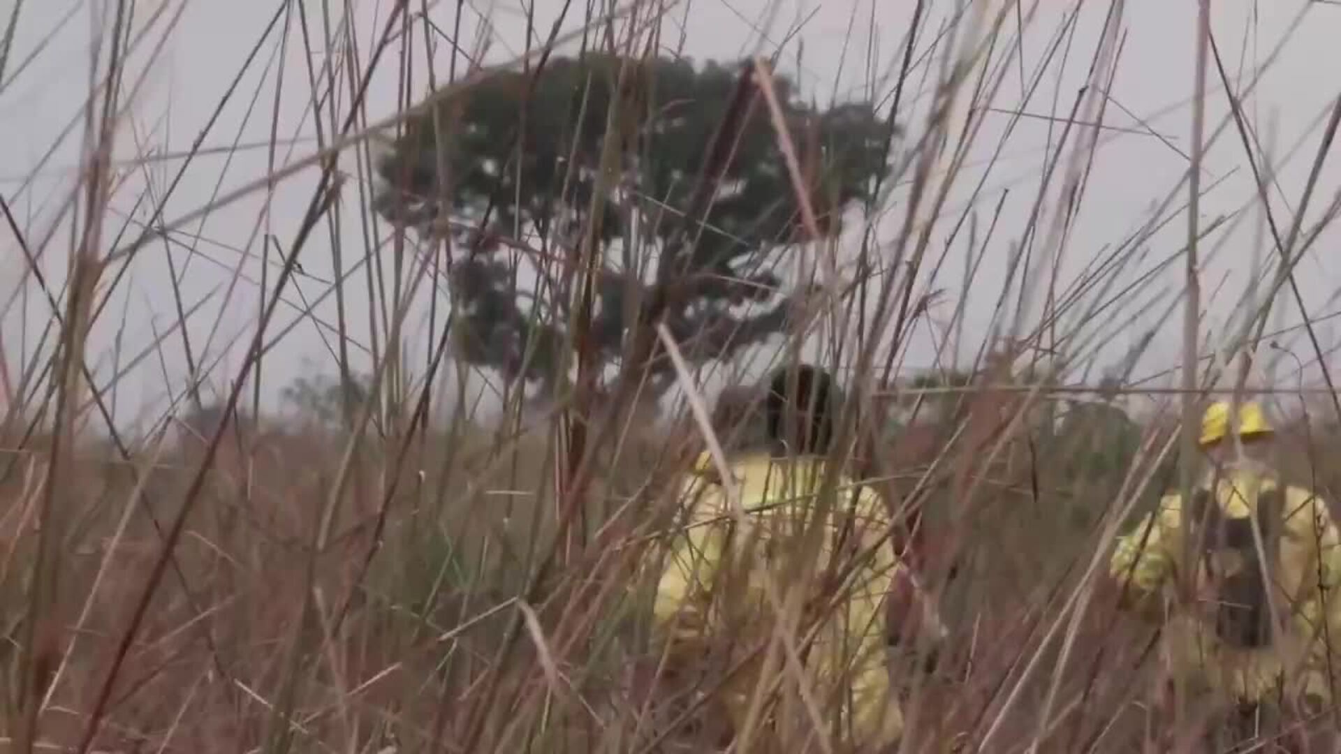 Los incendios llenan de cenizas al Pantanal brasileño