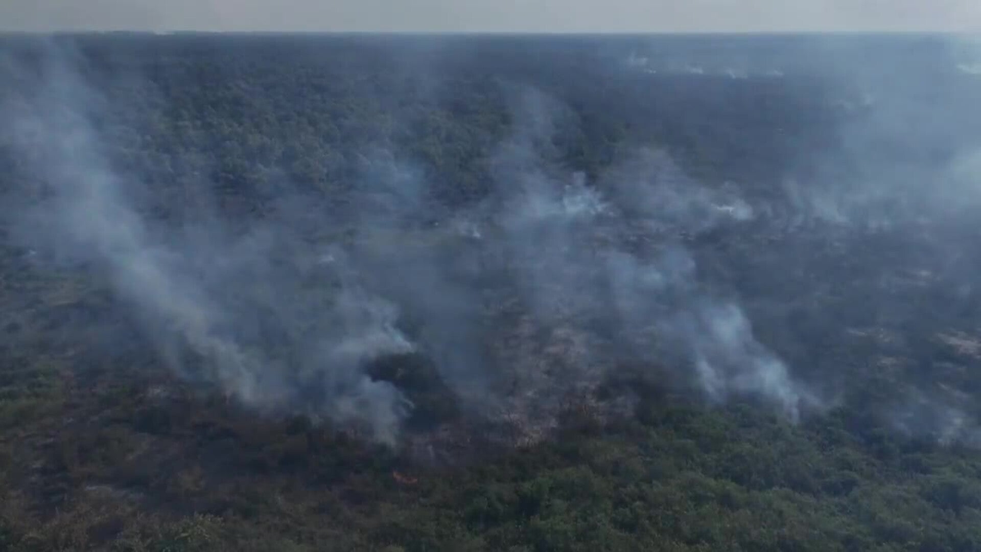 Autoridades de Brasil intensifican investigaciones para identificar los autores de los incendios en el Pantanal
