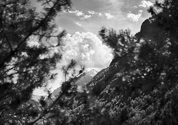 Imagen secundaria 1 - Resurgir en libertad