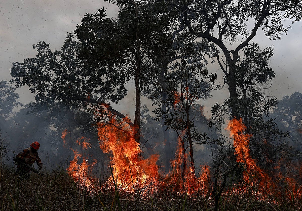Incendio en el mayor humedal del mundo, Pantanal, Brasil