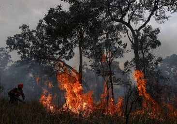 La sequía y los incendios amenazan el mayor humedal del mundo en Brasil