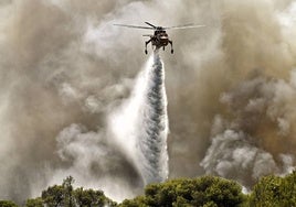 Grecia declara el estado de alerta general por la ola de calor que azota el país desde la semana pasada