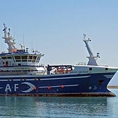 Faenar cerca de las Malvinas: una tarea peligrosa que tienen en cuenta los seguros