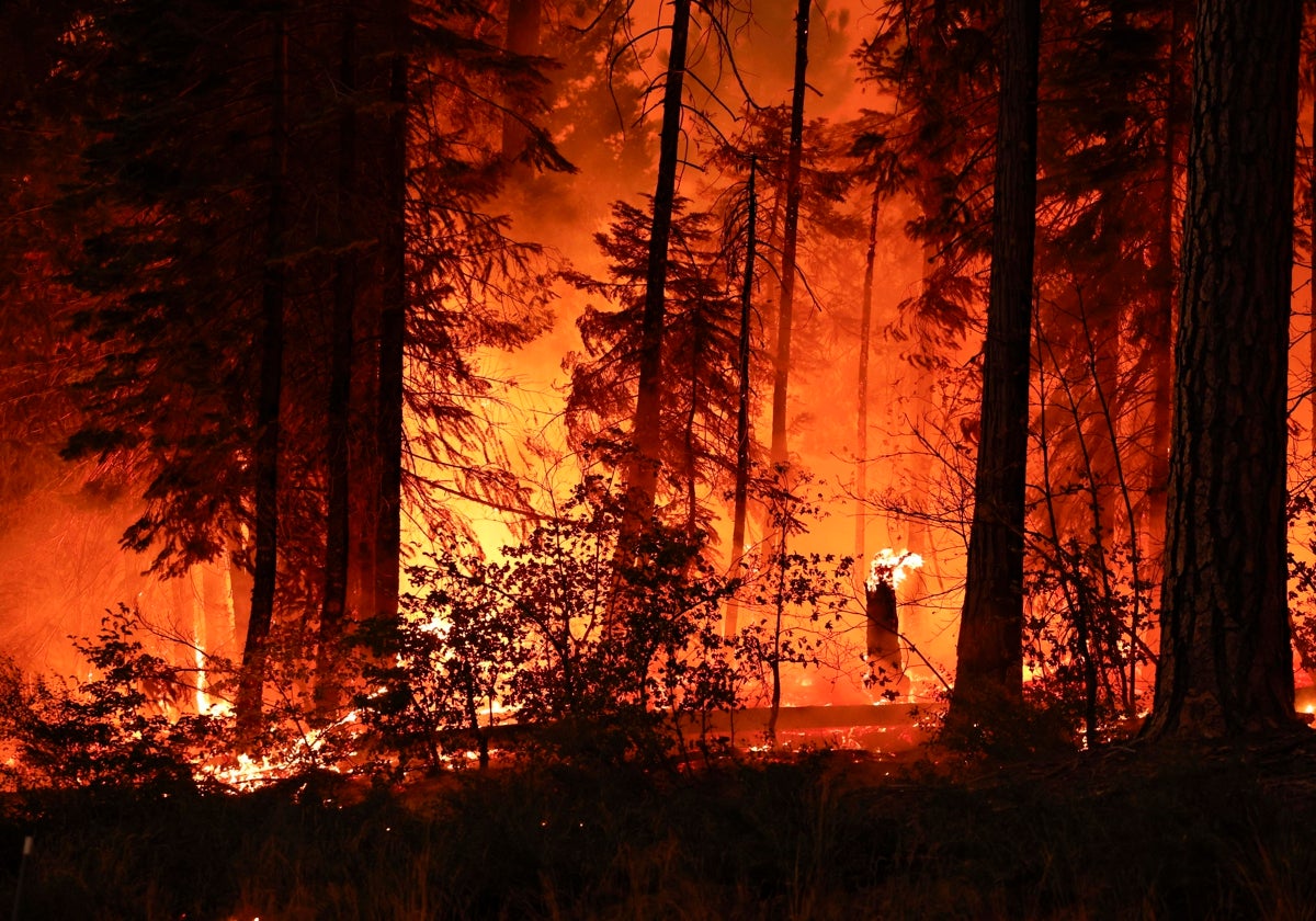 Detenido el autor del incendio más grande de California en 2024